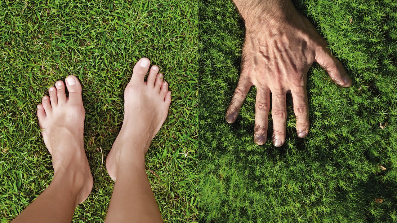 A pair of bare feet standing on grass and one hand grabbing the grass to illustrate the impact of sustainable cleaning solutions on the environment.